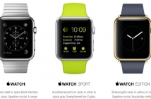 Apple - Apple Watch - Health and Fitness