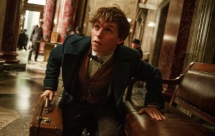 Fantastic Beasts and Where to Find Them (Official Trailer)