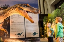 Световноизвестната изложба "Живите динозаври" се завръща във Варна