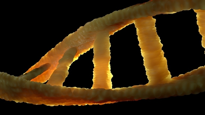 Анализ на генома чрез изкуствен интелект показва предразположеността към 5 смъртоносни заболявания