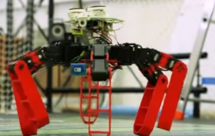 Учени разработиха робот, вдъхновен от мравките