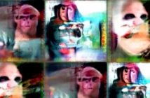 Невронна мрежа извади кошмарни изображения от мозъка на маймуна