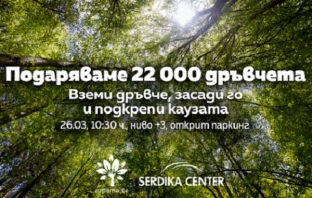 22 000 безплатни фиданки раздава Гората.бг днес в София. Вижте откъде можете да си вземете!