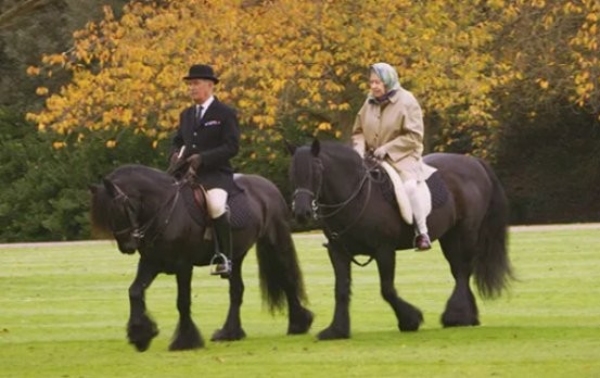 Крал Чарлз III разпродава най-добрите коне на Елизабет II
