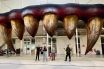 Огромни кървави зъби на сцената на 
