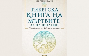 „Тибетска книга на мъртвите за начинаещи“, Лама Лхананг Ринпоче, Морди Ливайн