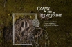 “Следи от изчезване”: кампания представя застрашените видове в България