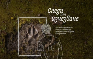 “Следи от изчезване”: кампания представя застрашените видове в България