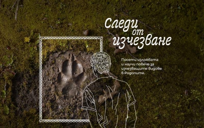 “Следи от изчезване”: кампания представя застрашените видове в България