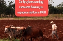 Ваканцията на учениците е прекалено дълга (и аграрна) според "Майко мила"