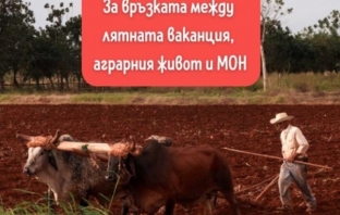 Ваканцията на учениците е прекалено дълга (и аграрна) според \