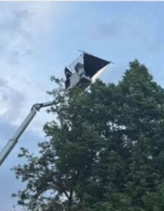 Снимките на филма за Лили Иванова затрудниха движението по централна улица в столицата - 1