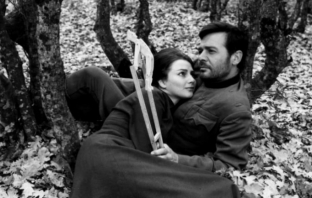 Отново на голям екран: „Крадецът на праскови“ се завръща с нов блясък