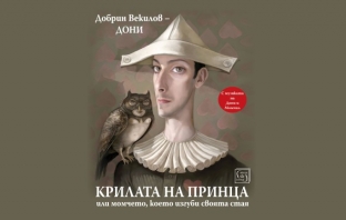 „Крилата на принца, или момчето, което изгуби своята стая“, Добрин Векилов – ДОНИ