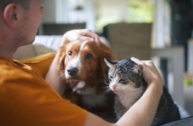 Български робот чете емоциите на домашните любимци! Дава заявка за световна революция