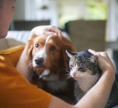 Български робот чете емоциите на домашните любимци! Дава заявка за световна революция