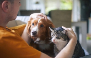 Български робот чете емоциите на домашните любимци! Дава заявка за световна революция