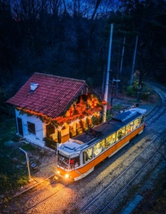 Спирка „Вишнева“ заблестя и върна софиянци към своята мистична история (Приказни СНИМКИ) - 2