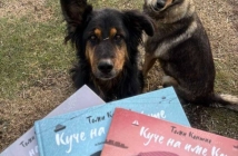 Едва 22% от бездомните кучета в България намират дом