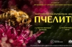 „Пчелите“ – интерактивна пърформанс-лекция за семейна публика представя света на пчелите чрез театър и наука