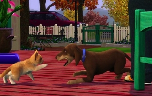 Прероди се в котка, куче или хамстер със The Sims 3 Pets тази есен