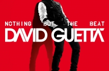 David Guetta - Nothing but the Beat