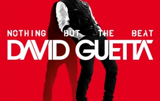 David Guetta - Nothing but the Beat