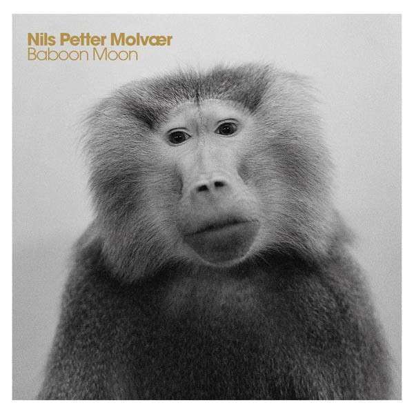 Nils Petter Molvaer - Baboon Moon