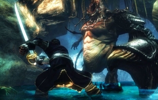 Risen 2: Dark Waters излиза през април