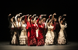 Националният балет на Испания с шоу в НДК