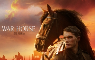 Боен кон (War Horse)