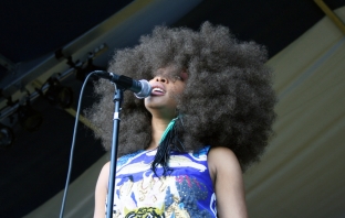 Erykah Badu, Nneka и Roni Size идват за Elevation 2012