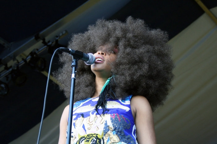 Erykah Badu, Nneka и Roni Size идват за Elevation 2012