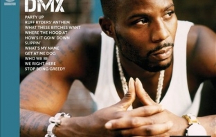 DMX - Icon