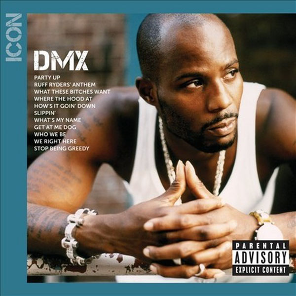 DMX - Icon