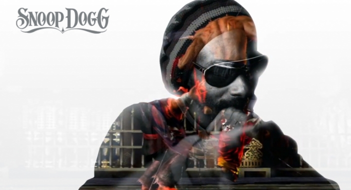 Snoop Dogg в Tekken Tag Tournament 2 