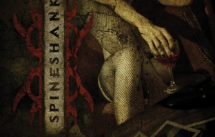 Spinkeshank - Anger Denial Acceptance