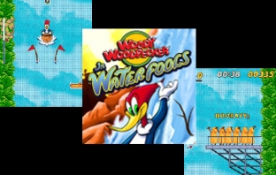 Woody The Woodpecker: Waterfools