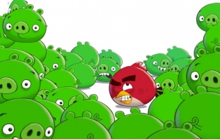 Something PIG is coming... Злите прасета от Angry Birds със собствена игрa!
