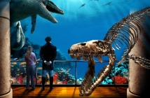 Sea Rex 3D: Праисторическо пътешествие (Sea Rex 3D: Journey to a Prehistoric World)