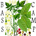 HMSU представя: Bass Camp в клуб Гуарана (Бургас)