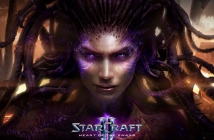 StarCraft II: Heart of the Swarm