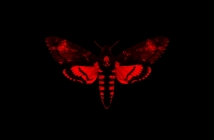 Lil Wayne - I Am Not a Human Being II