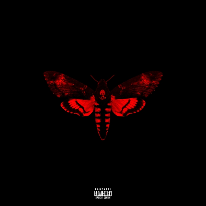 Lil Wayne - I Am Not a Human Being II