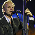 Sting: Sting: