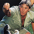 Трагично загина Steve Irwin - 