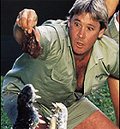 Инцидентът със Steve Irwin заснет на видео