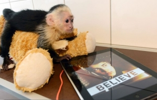 Джъстин Бийбър вбеси самолетна компания заради маймунката си