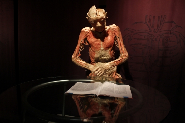 Вижте човешкото тяло както никога преди на изложбата Bodies Revealed в София