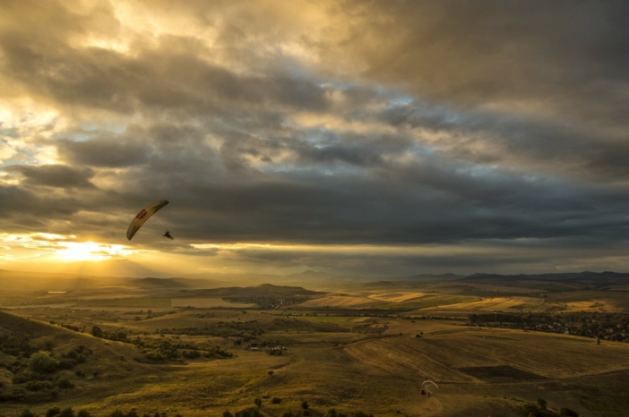 Филмът Red Bull Bird